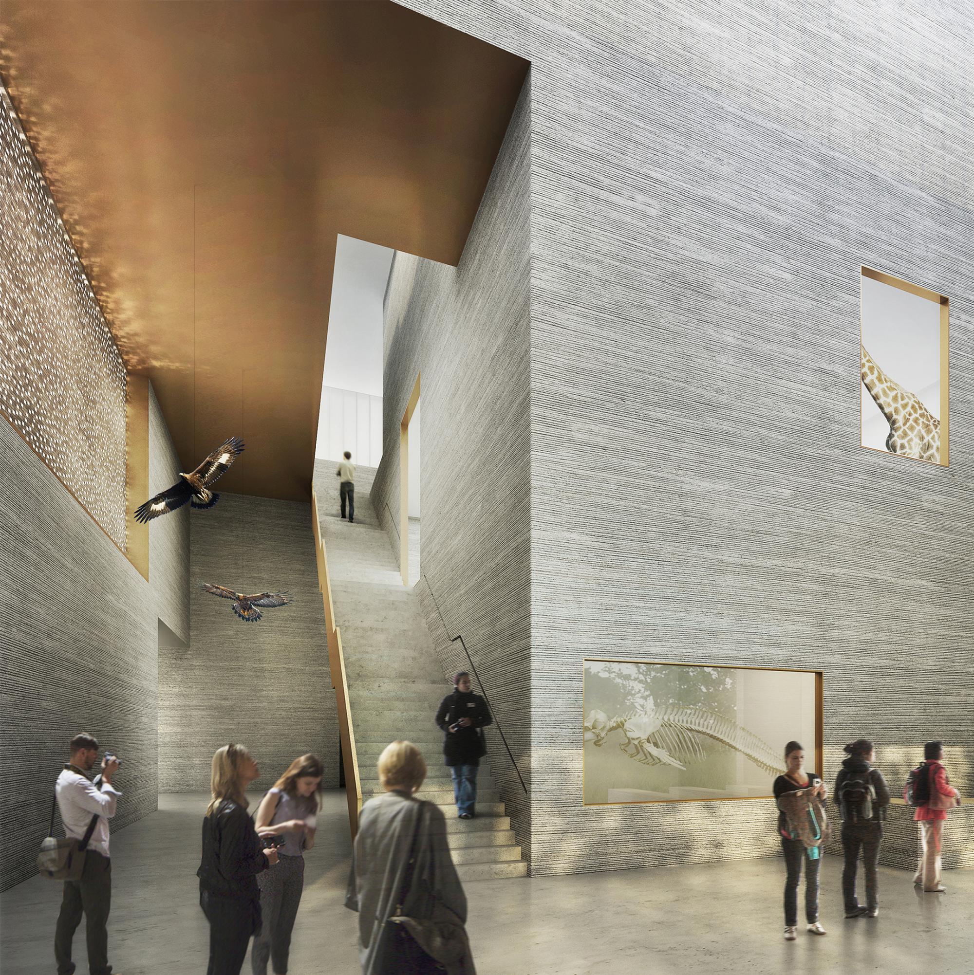 Cathrin Trebeljahr Architecte - CONCOURS OUVERT, MUSEE D'HISTOIRE NATURELLE DE FRIBOURG